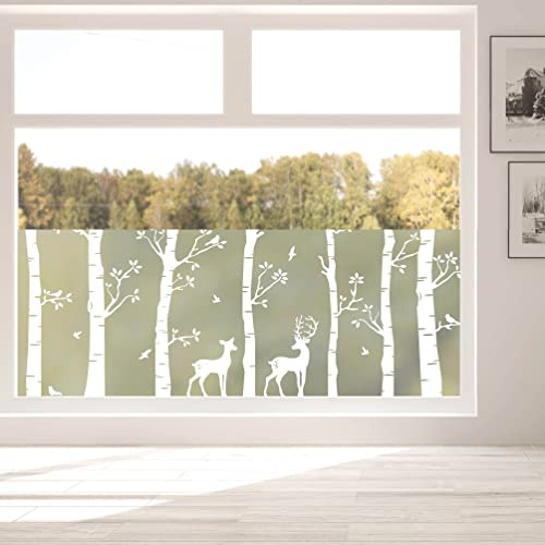 Sichtschutzfolie Birkenwald mit Hirschen Fensterfolie Fensterdeko Milchglasfolie, 55 cm hoch, 100 cm breit