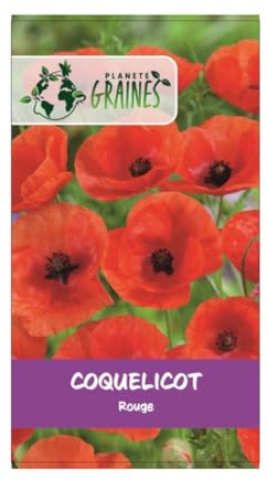 Lot de 500 Graines Pavot Coquelicot Rouge - Pavot des Moissons - 60 cm et plus