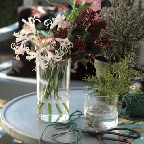 Vaso Trasparente cilindrico per composizione floreale | Centrotavola moderno decorativo interni ed esterni | Ideale per piante e fiori, fai da te (4, Altezza 9cm)