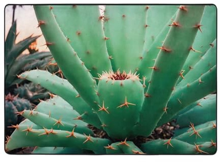 WZYWHJ Area Rugs,Living Room Floor Mats Runner Rug Non-Skip Nursery Mat Playing Carpet 80x58 inch Agave Cactus Printing