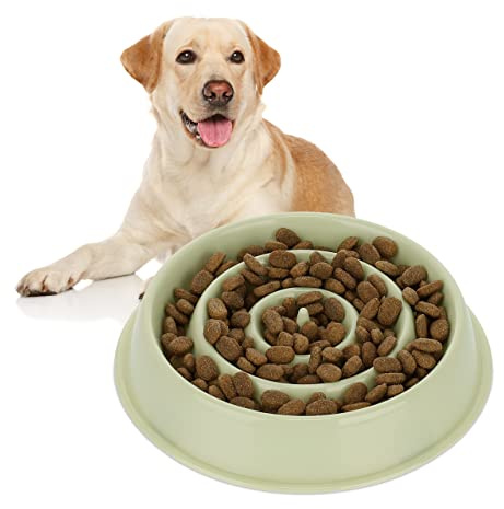 Relaxdays Anti Schling Napf, Futternapf für Hunde, Tiernapf 400 ml, langsames Fressen, Hundenapf spülmaschinenfest, grün, 4 x 21 x 21 cm