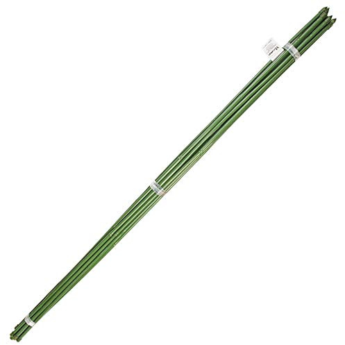 SATURNIA Tutor Varilla Bambú Plastificado Ø 8-10 mm. x 60 cm. (Paquete 10 Unidades)