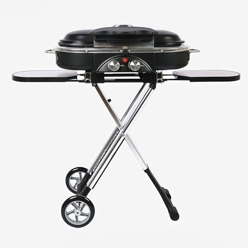 Griglia a gas a doppio bruciatore con termometro integrato, design pieghevole, potenza 2,34 kW, griglie in ghisa per campeggio e giardino