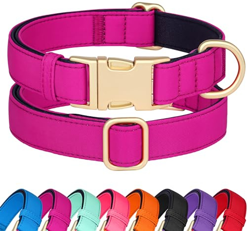 Didog Hundehalsband aus Nylon, weich gepolstert, strapazierfähiges Hundehalsband mit Schnellverschluss-Metallschnalle, leichtes und atmungsaktives Hunde Halsband für kleine Hunde,Hot Pink,S