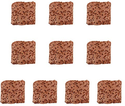 MUELODSIC Anneaux Fixes 10pcs pour Fixation et Maintien des Plantes D'aquarium en Poterie pour Plantes Aquatiques Décor Paysage de Réservoir de Poissons