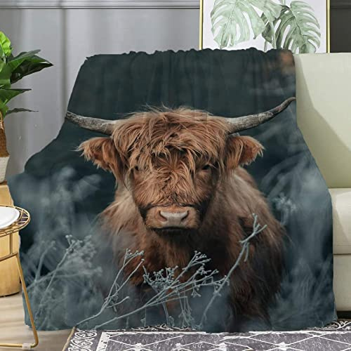3D Kuscheldecke 150x200 Flanell Fleecedecke Tier Decke Das Vieh, Flauschig Mikrofaser Wohndecke Hochlandkuh Grau, für Sofadecke Couchdecke Sofaüberwurf Bettüberwurf