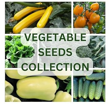 Nojus - Collection exclusive de graines de légumes – 20 sachets hermétiques - Kit de démarrage de graines de légumes variées - de légumes 20 variétés