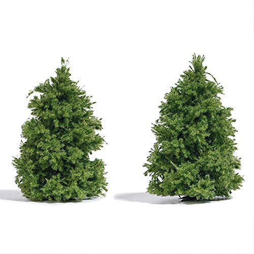 Busch 6122 Baum Lärche 60 bis 60 mm Grün 2 St.