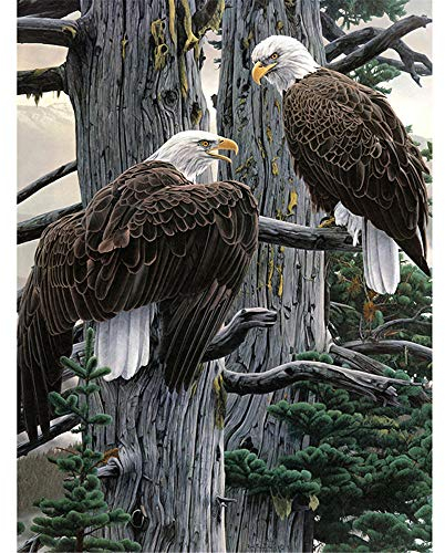 YINGXIN88 Diamond Painting Full Set, DIY 5D Diamond Painting Set, Diamant Painting, Malen Nach Zahlen Diamant, Diamant Malerei für Geschenke Haus, Wand und Eingang DekorationenZwei Adler-50x70cm