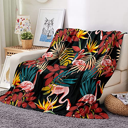 EHOMERY Kuscheldecke Wolle Decken Zum Selbst Gestalten Flauschig Dicke Warm Flanell Mikrofaser Picnic Isoliert Flamingo Karikatur Hosting-Decke Schwarz 240x180cm