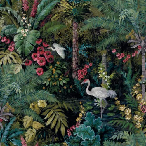 Holden Decor Jungle Paradise Wallpaper Black Statement Feature Wall