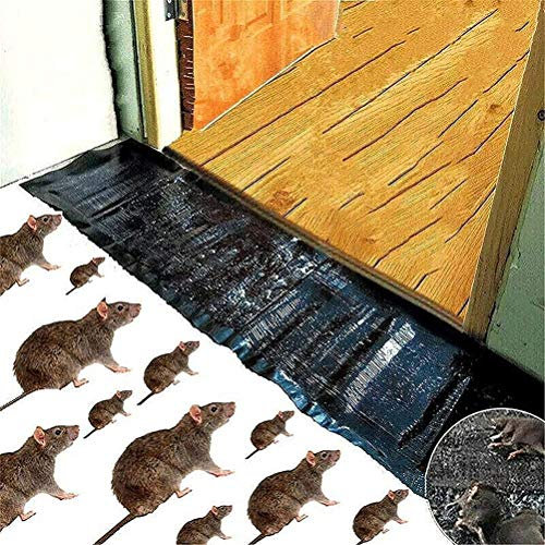 Pièges à Colle Puissants pour Rats – Plaques Ultra-Adhésives pour Attraper Souris et Rongeurs – Pièges Jetables à Plat pour Utilisation Intérieure dans la Maison, Le Garage ou