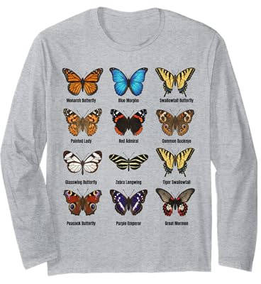 Types de Papillons, Tableau des espèces de Papillons Manche Longue