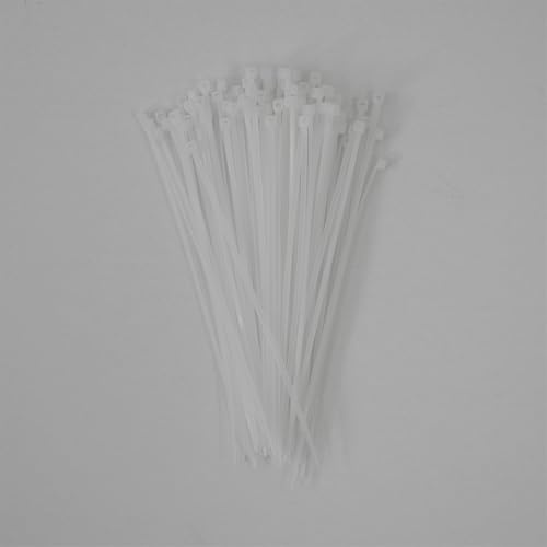 Schneider Electric Thorsman Bridas de 100 unidades, de poliamida, 160 x 2,5 mm, color transparente, diferentes tamaños, bordes redondeados lisos, muy duraderas, bridas autoblocantes para gestión de