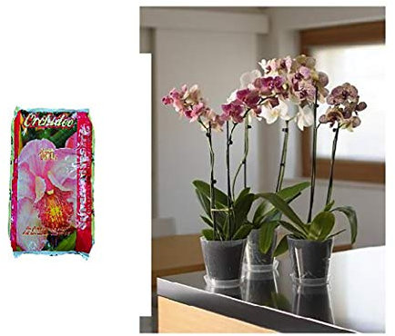 Vialca Set Orchidee - 1 Vaso Neutro EURO3PLAST con PIATTINO + TERRICCIO SPECIFICO Orchidee LT.10 (CM18)