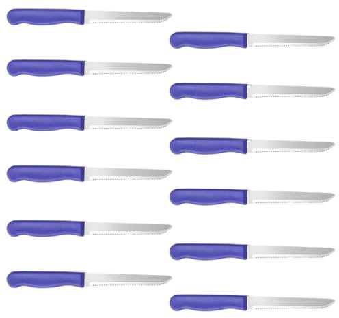 WANDGU Frühstücksmesser Set 12 Stück Brötchenmesser, Hochwertiges Edelstahl Tafelmesser, Hochwertiges Frühstücksmesser aus Edelstahl, scharfes Tafelmesser mit Wellenschliff für Brot, Steak, Gemüse
