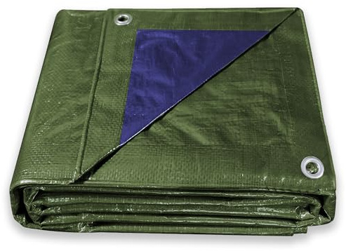 ESTO Lona impermeable verde exterior, lona con ojales, 100 g/m², lona protectora multiusos para coche, barco, piscina, jardín (8 x 12 metros)