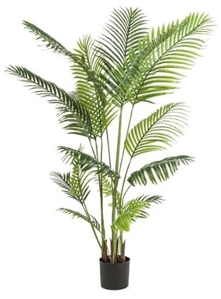 Kunstpalme Howea forsteriana – 160 cm – Realistische Kentia-Palme – Pflegefrei – Hypoallergen – Für Wohnzimmer, Büro & Wintergarten – Tropisches Deko-Highlight