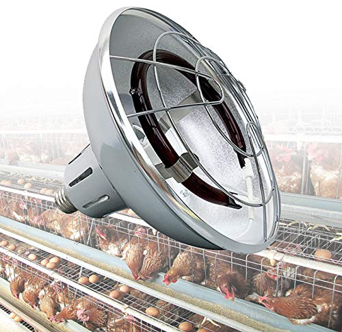 DFGENLY Poultry Infrared Heat Lamp, Heat Lamp for Puppies Chicks Rabbits Adjustable Temperature 200W-400W, Halogen Heating Lamp with Thermostat and Power Cord for Breeding Farm/Family