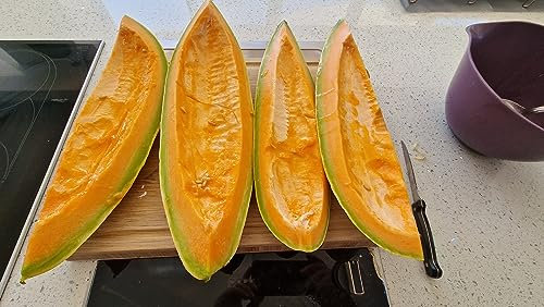 Banana Melon Seeds - 10 Fresh Banana Melon Seeds