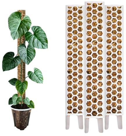 Nils der Pflanzenfreund® PlantScraper Bâton de mousse 35 cm (M) / 3 pièces/blanc | Tige de plante | Pole de Moss | Tuteur de mousse extensible | Bâtons de mousse | Plante Pole Indoor | Bâton de mousse