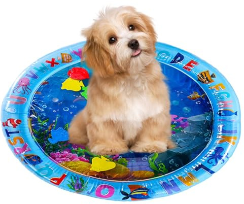 Sensorisches Wasserkissen für Katzen – kühles Katzen- und Hunde-Wasserkissen-Bett, sensorisches kühlendes Wasserbett, Trainingsaktivität für den Innenbereich, Zuhause, Reisen, Outdoor, Balkon