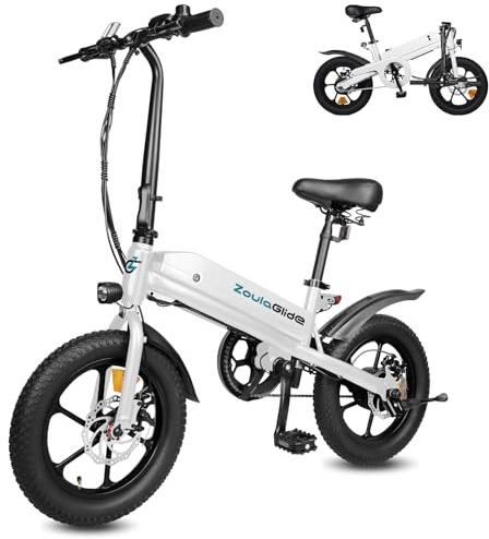 ZoulaGlide E-Bike Klapprad, 16x3 Zoll Breitreifen Elektrofahrrad mit Abnehmbarem Akku, 45km Reichweite, Verstellbarer Sitz, LCD Display, Cityrad für Herren Damen Pendeln