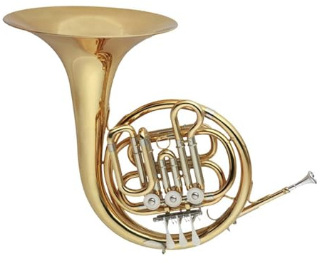 Waldhorn Musikinstrumente Blechblasinstrumente Waldhorn B Dur Anfänger Erwachsener Professioneller Leistungstyp