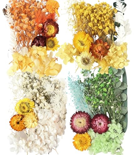 4 Pack Getrocknete Blumen, Trockenblumen Zum Basteln, Mini Trockenblumen Und Dried Flowers, Trockenblume Klein Für DIY Harzschmuck, Kleine Trockenblume Kerzen Und Scrapbooking-Dekoration