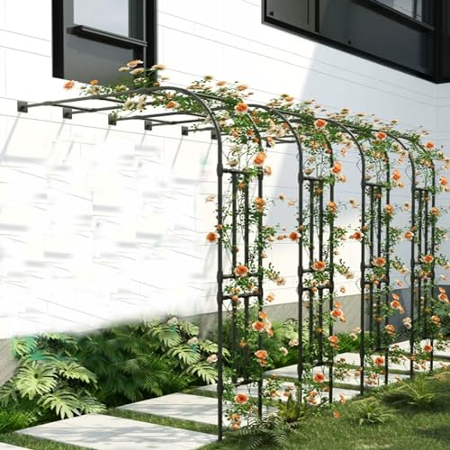 Rosenbogen Halbbogen,Wetterfest Gartenbogen Gartenlaube,Für Kletterpflanzen Außenbereich Wandmontage Halbrund Torbogen,Rankhilfe Stabiles Rankbogen Rosen Bogen Für Kletterpflanzen ( Color : Schwarz ,