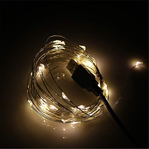BUYERTIME Lichterkette mit 50 LEDs, USB-betrieben, Silberdraht, Mikro-Lichterkette für Innenräume, Schlafzimmer, Hochzeit, Weihnachten, Party, Dekoration, Warmweiß