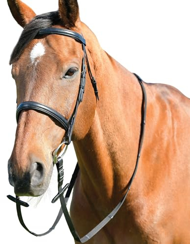Kincade - Kappzaum mit Zügeln für Pferde Classic, Leder (Warmblut) (Schwarz)