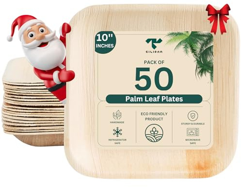 Tilipan – Assiettes jetables écologiques en feuille de palmier 25 cm (50 pièces) – Assiette jetable naturelle, biodégradable et compostable – Vaisselle idéale pour fête, traiteur et mariage