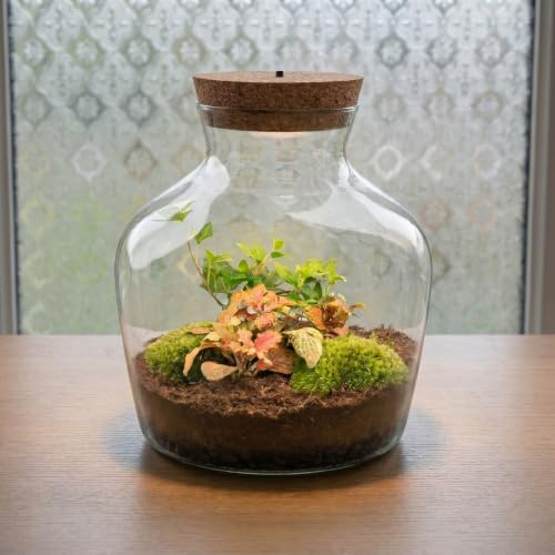 urbanjngl - urbanjngl.com - Little Joe - Flaschengarten mit Licht - DIY Terrarium mit Pflanzen im Glas - Ø 20 cm ↑ 22 cm