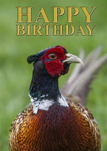 Carte d'anniversaire photographique de faisan, gibier à plumes Idéal pour les amoureux de la nature et les sportifs de campagne