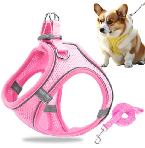 Hundegeschirr Kleine Hunde, Welpengeschirr Step-in Geschirr aus Air Mesh, Anti Zug Reflektierend Atmungsaktiv Brustgeschirr, Hundegeschirr Welpen, Katzengeschirr Brustgeschirr Hund (Pink, XXS)