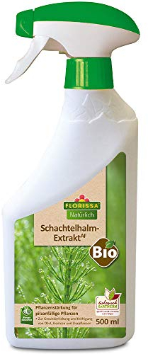 Florissa Natürlich Bio Schachtelhalm Extrakt | zur Vorbeugung von Pilzbefall bei Obst, Gemüse und Zierpflanzen | vorbeugend gegen Mehltau, Sternrußtau, Schorf, Grauschimmel, Krautfäule, Farblos