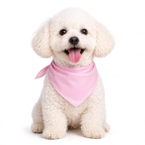Petitebelle Hundehalstuch, einfarbig, Rosa, Größe L