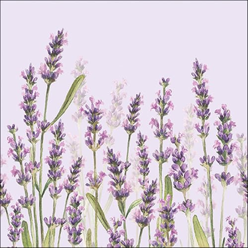 Ambiente Servietten, 20 Stück, Lavendel, Lavender Shades lila, FSC-Mix, Lavendelblüten, Frühling, Ostern, Hochzeit, Serviettentechnik