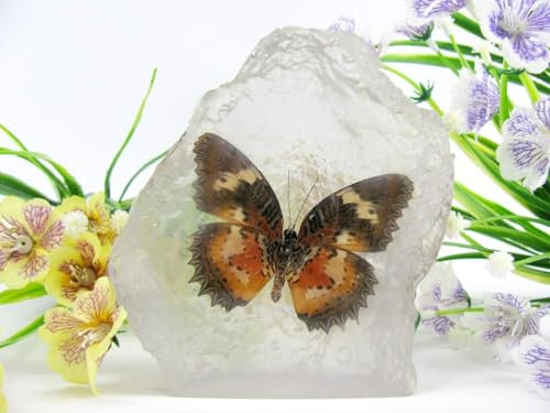 In Kunstharz gegossene Schmetterlinge, Insekten, Skorpione und mehr. Briefbeschwerer, Icemountain, nicht scharfkantig (Schmetterling 13)