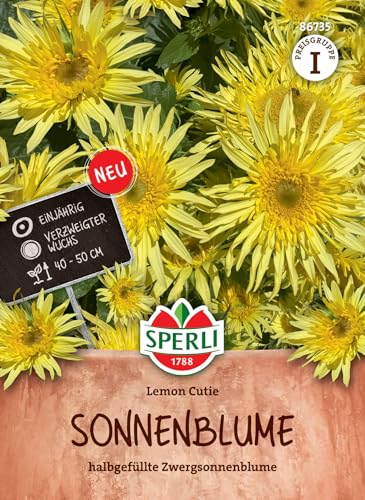 Sperli Sonnenblumensamen Lemon Cutie 86735 - Einjährig - verzweigter Wuchs - Zwergsonnenblume - 40-50cm - Pflanzen Samen, Saatgut, Blumensamen