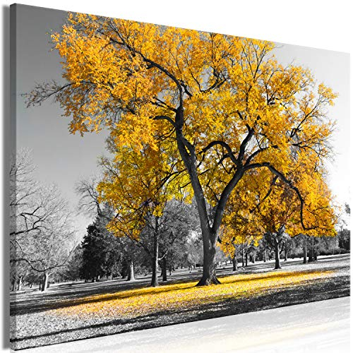 murando - Akustikbild Baum Leinwandbild 1 tlg Kunstdruck modern Wandbilder XXL Wanddekoration Design Wand Bild - Bäume Natur Landschaft schwarz weiß gelb c-B-0445-b-c