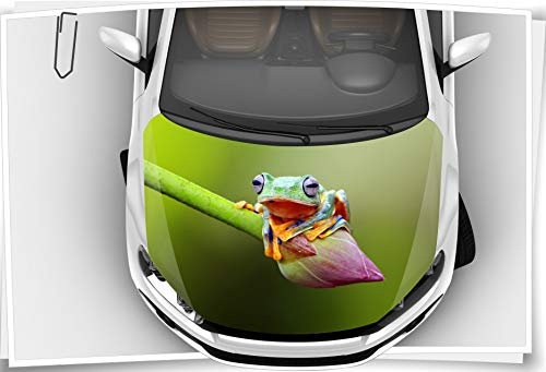 Medianlux Motorhaube Auto-Aufkleber Frosch Laubfrosch Hyla Tiere Grün Blume Steinschlag-Schutz-Folie Airbrush Tuning Car-Wrapping Luftkanalfolie Digitaldruck Folierung