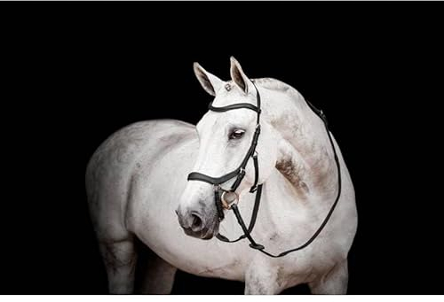 Horseware Micklem 2 Competition Trensenzaum, Schwarz, volle Größe, Schwarz