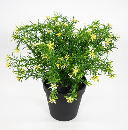 Seidenblumen Roß Sternblütenbusch 28cm im Topf GA Kunstpflanzen Kunstblumen Blumen Pflanzen (Gelb)