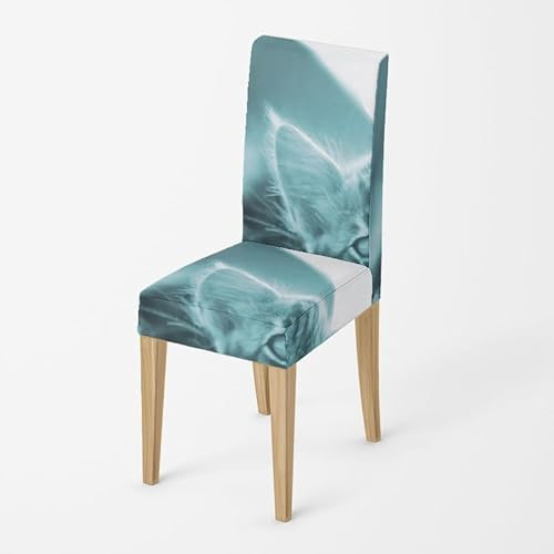 Stuhlhussen Schwingstühle Blaue Katze Langlebig Stuhlhussen,Esszimmer Bankett Dekostuhlüberzug,Universal Stretch Abnehmbare Waschbarer Stuhlbezug Für Haus,Hotel, Bankett, Hochzeit, Party(4Er Set)