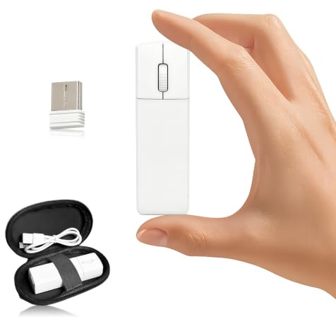 Mouse wireless silenzioso dual-mode Bluetooth ergonomico 2.4G silenzioso mouse portatile con custodia mini mouse wireless compatibile con PC portatile (Micro Sound Edition 2.4G bianco)