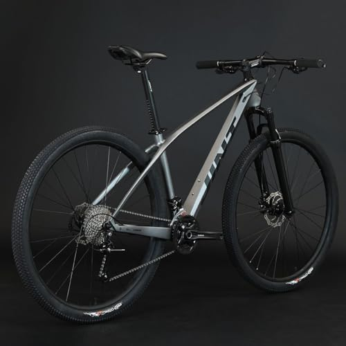 Generisch Carbon Rahmen Mountainbike Fahrrad Bike 29Zoll 27speed Grau