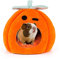 SBAYOOL Halloween Kürbis Meerschweinchen Bett, Niedlich Und Warmes Meerschweinchen Kuschelhöhle, Meerschweinchenhaus Mit Abnehmbarer Matte, Geeignet Für Igel Chinchillas 21×21×21cm