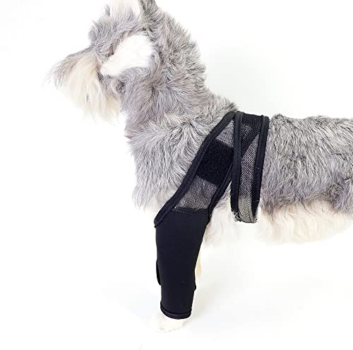 BUYTER Haustierverletzungen, doppelte Hinterbeinschutz, Kniebandage, Schutz für Hunde, Gelenkfüße, Abdeckung, Unterstützung (S)